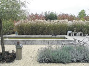 Snoek Hoveniers: een mooie tuin is maatwerk